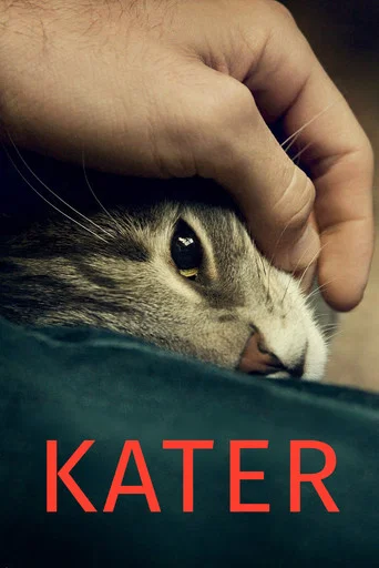 Кот